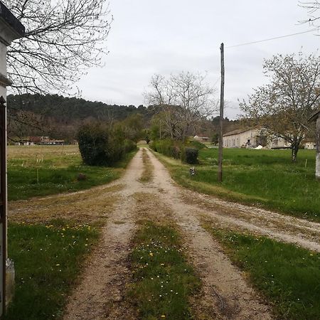 فندق Domaine Du Baron Saint-Martin-l'Astier المظهر الخارجي الصورة