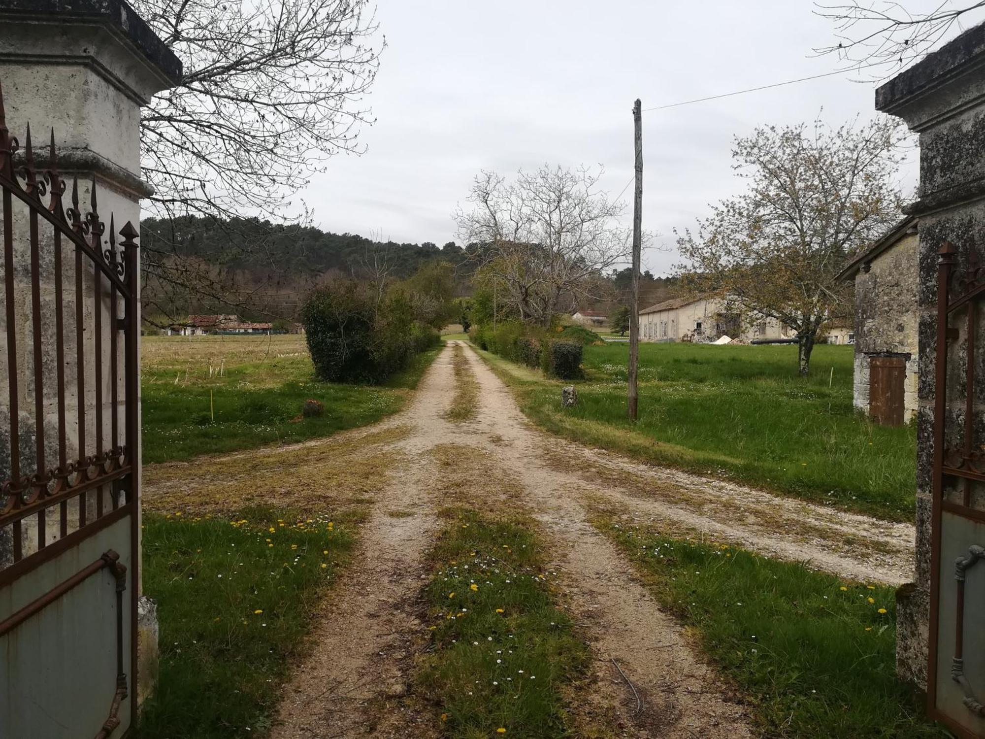 فندق Domaine Du Baron Saint-Martin-l'Astier المظهر الخارجي الصورة